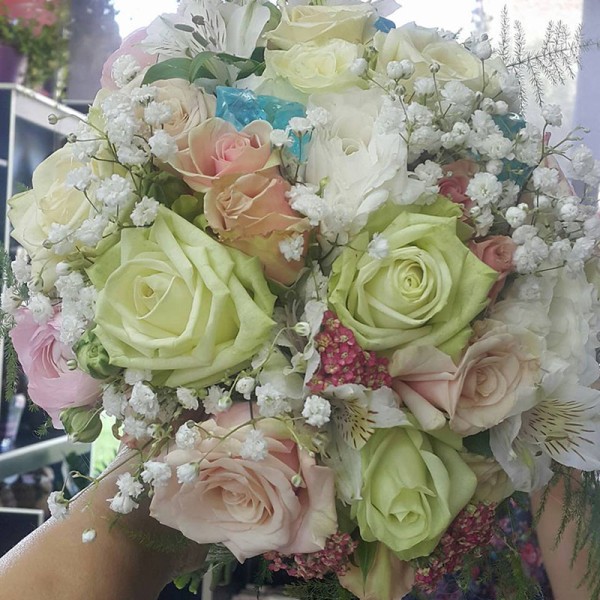 Cvećara Samanta Novi Sad