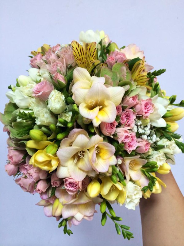 Cvećara Samanta Bačka Palanka