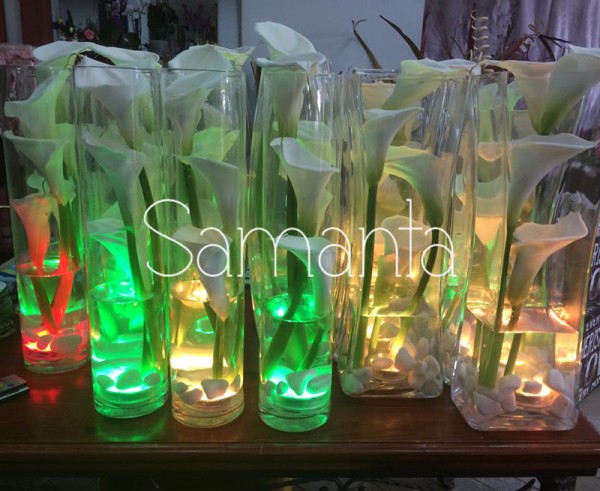 Cvećara Samanta Bačka Palanka