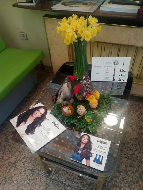 Frizerski salon Penelopa