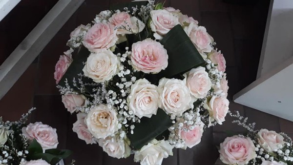 Cvećara Beli Božur