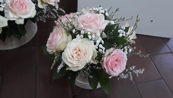 Cvećara Beli Božur