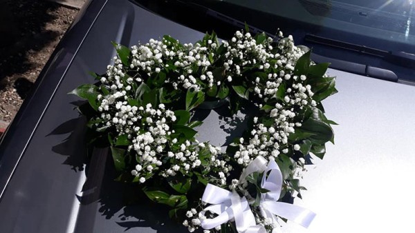 Cvećara Beli Božur