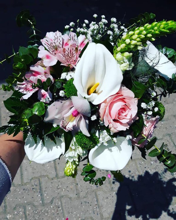 Cvećara Beli Božur