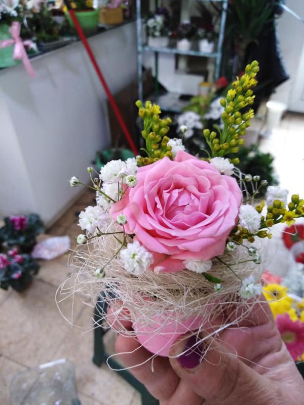 Cvećara Bela Rada 68