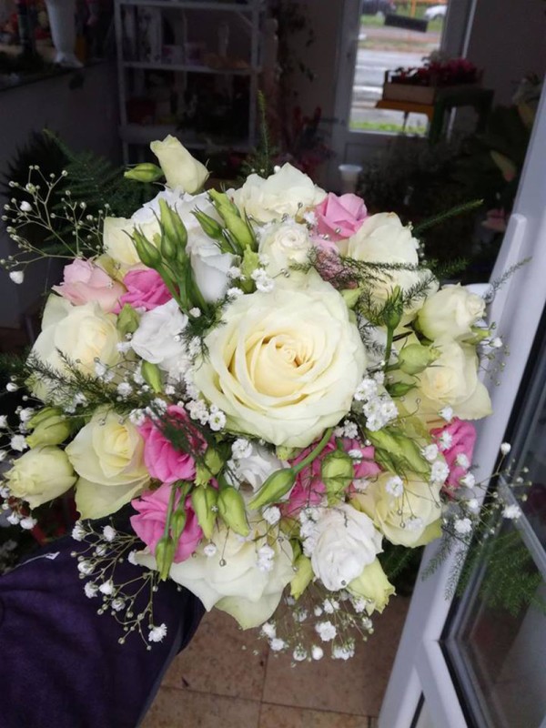 Cvećara Bela Rada 68