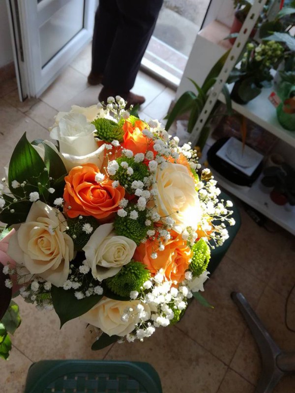 Cvećara Bela Rada 68