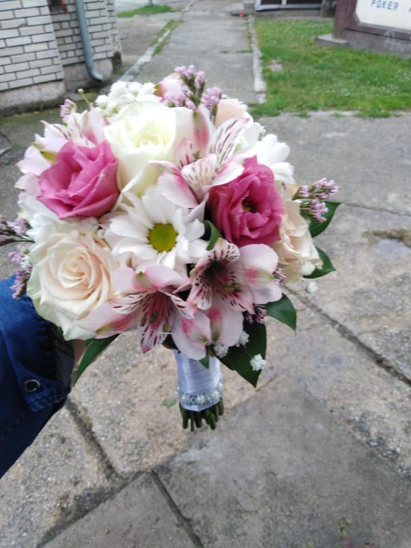 Cvećara Bela Rada 68