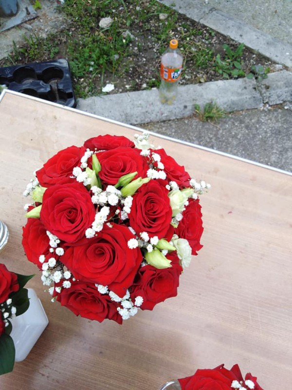 Cvećara Bela Rada 68