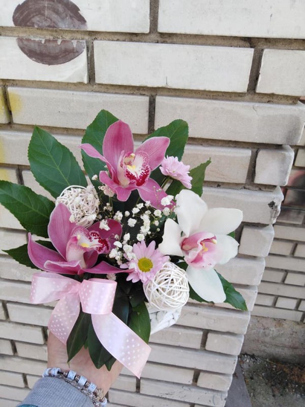 Cvećara Bela Rada 68