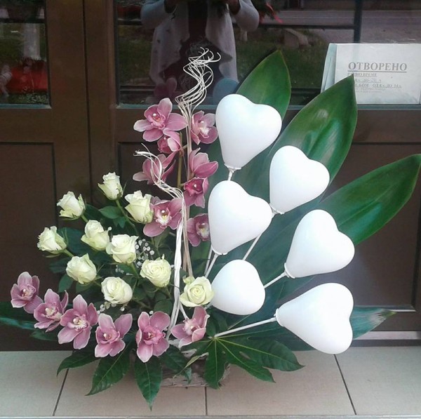 Gradska Cvećara Bumbar