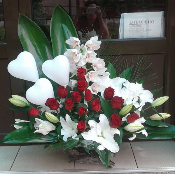 Gradska Cvećara Bumbar