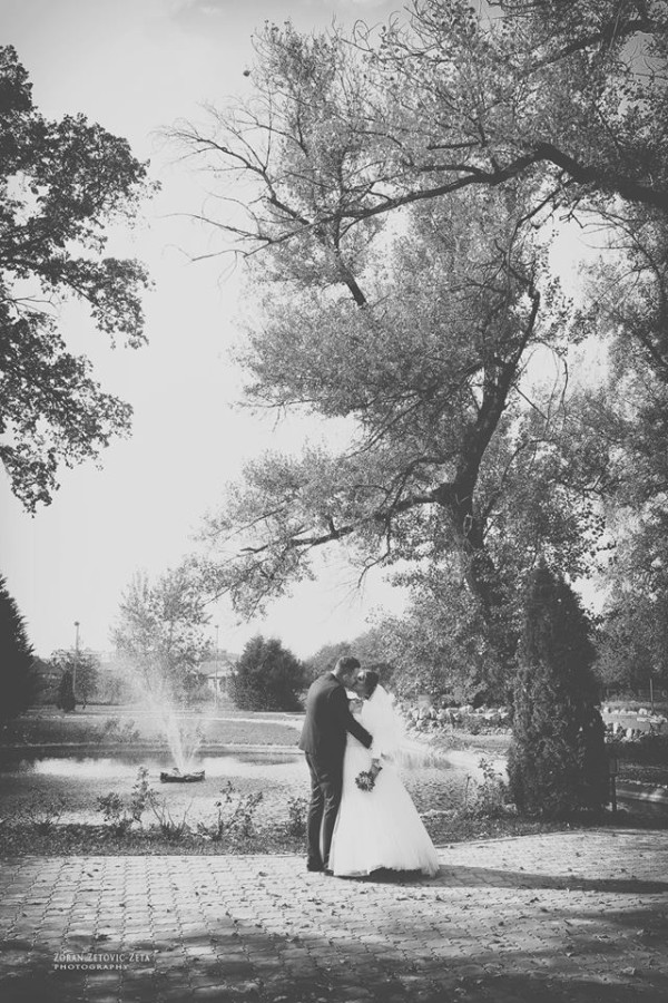 Art-foto studio Zeta