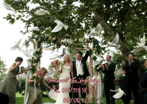 Venčanja Golubovi