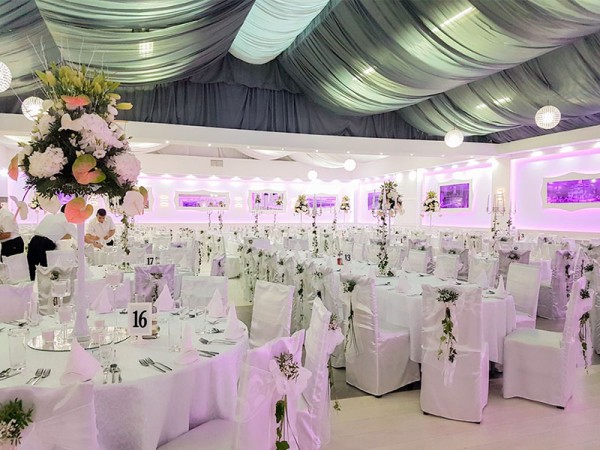 Agencija Flamingo Party Decoration