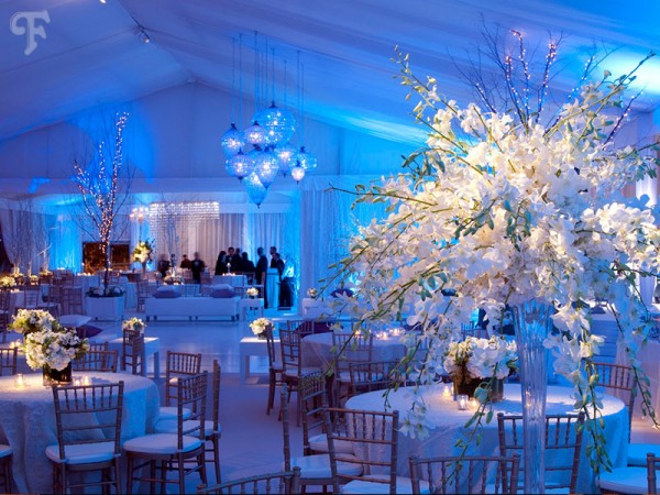 Agencija Flamingo Party Decoration