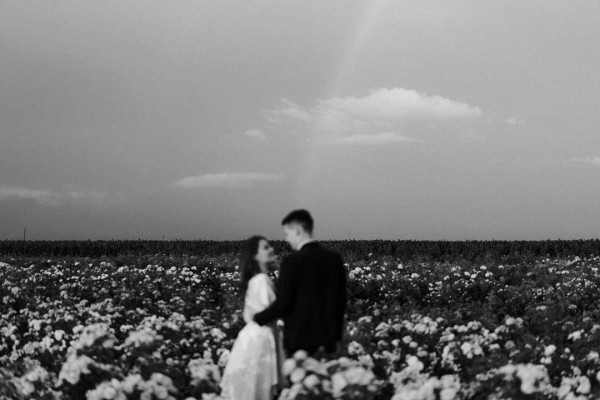 VeleDiskont by Vladimir Veličković