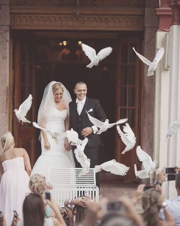 Wedding Solution Studio