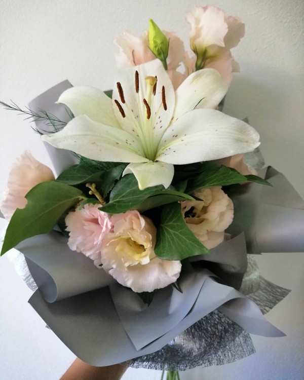 Cvetni studio Exclusive