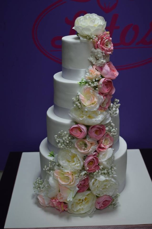 Lotos Caffe Poslastičara