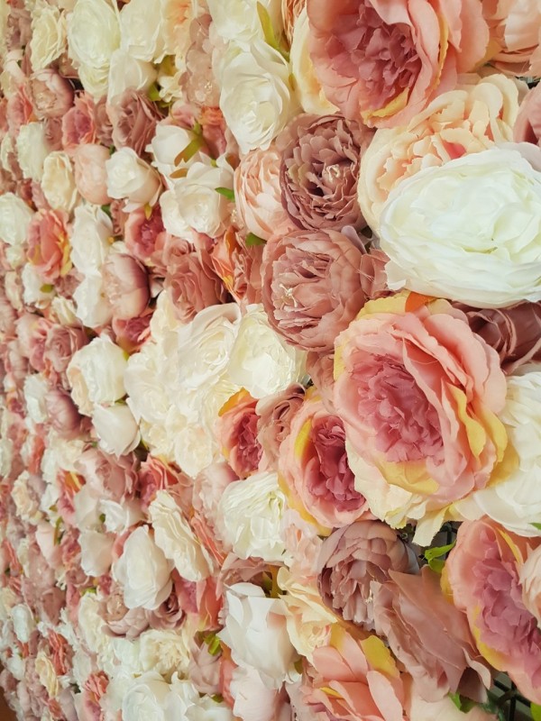 Cvetni zid Flower wall