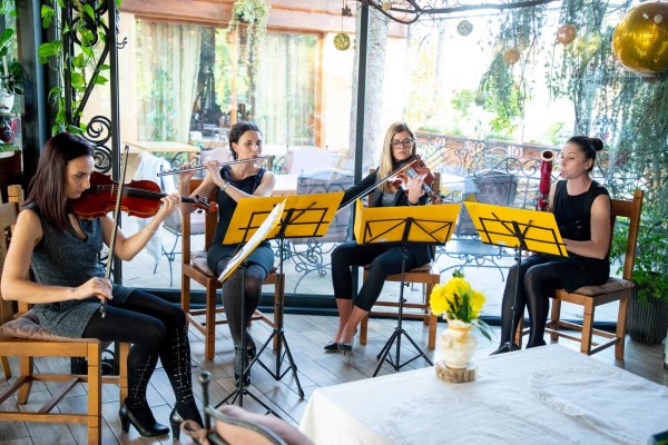 Intuitive quartet