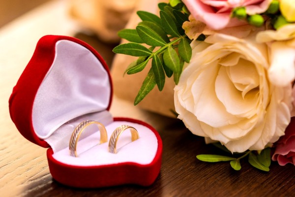 Nikola Radlovački Photography