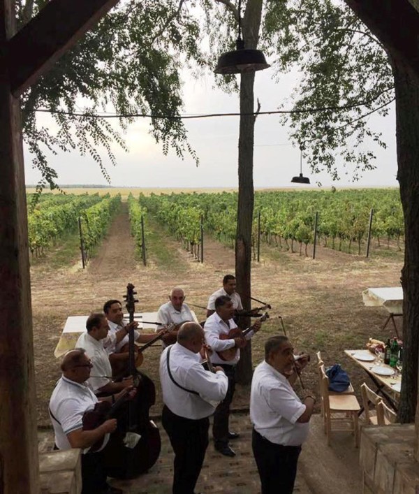 Vinarija Milisavljević