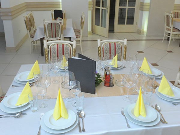 Hotel Oplenac 