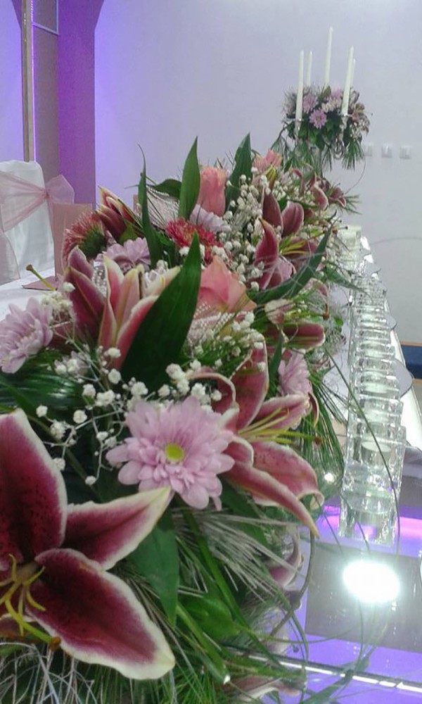 RAJSKA OAZA Lila Sala