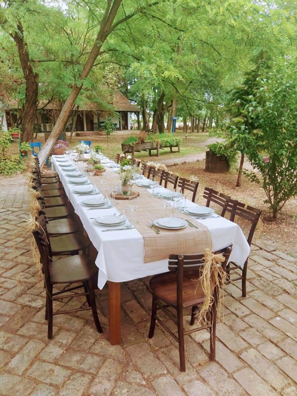 Salaš 137 Sala
