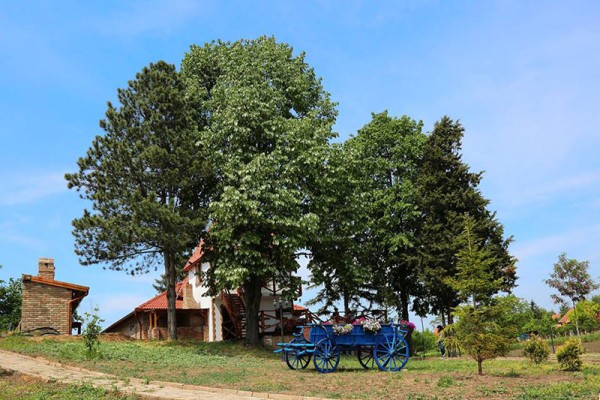 Salaš kod Stare Dunje