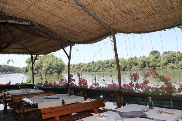 Stara Koliba