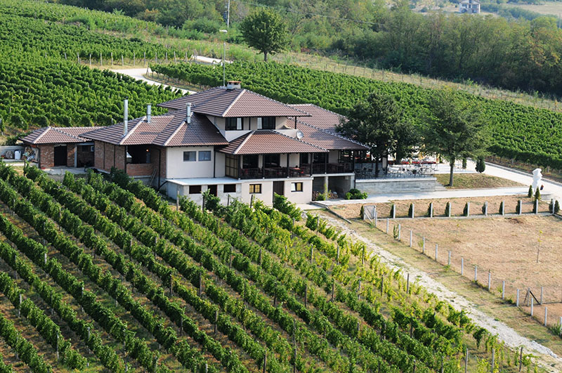/uploads/vendors/646/gallery/vinarija-restorantarpos-7.jpg
