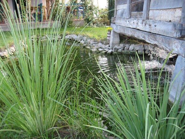 Etno restoran Čardak