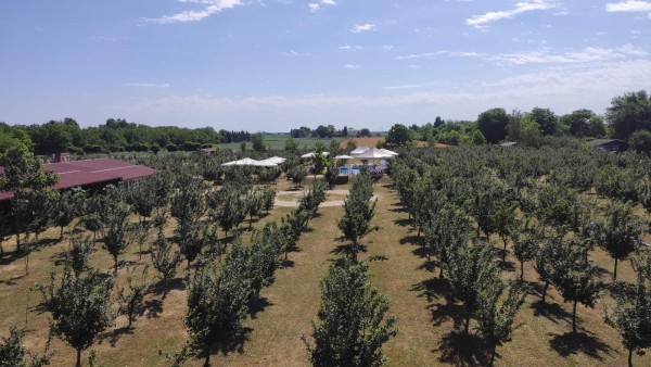 Farma 47 Salaš Miris Dunja