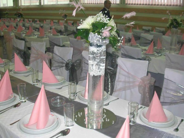 Svečana sala Radovanje Vladimirci