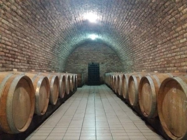 Vinarija Milijan Jelić