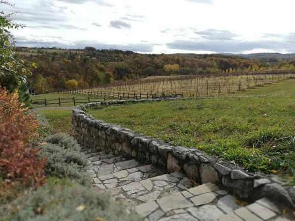 Vinarija Milijan Jelić