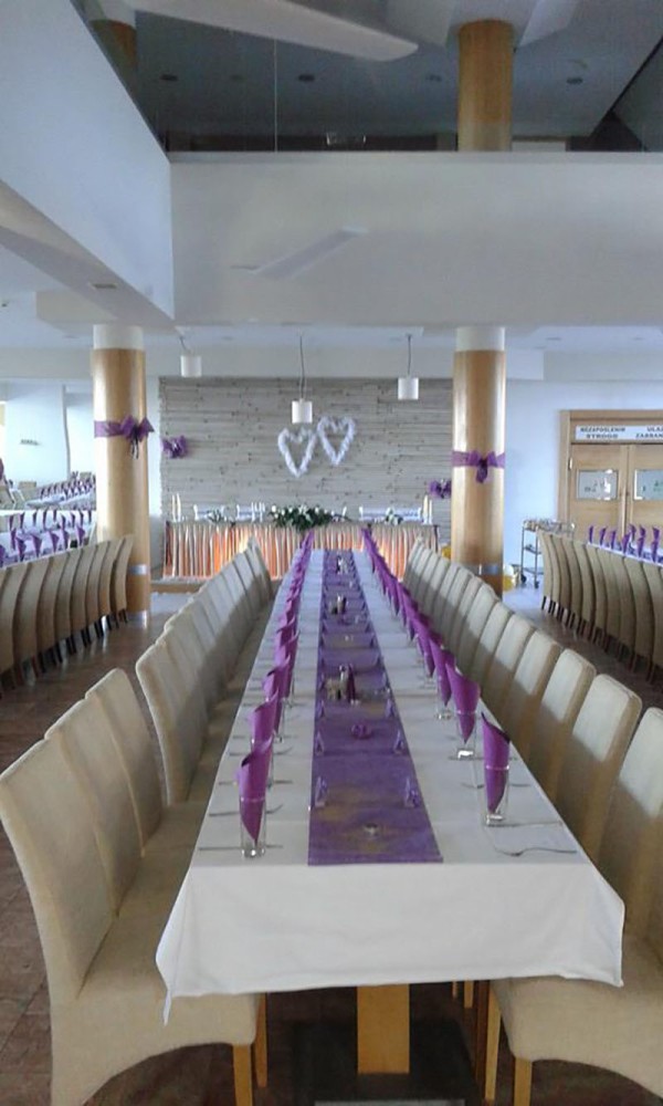 HOTEL BOROVI Velika Sala